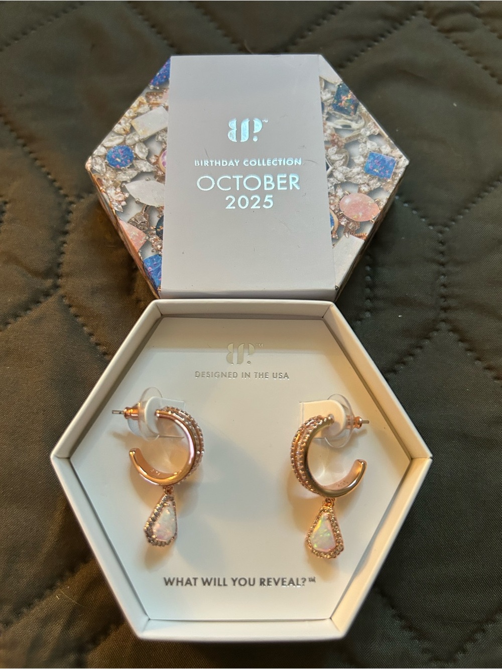 Bomb Party | Oct 2025 Earrings | Rose Gold Hoops | NWT